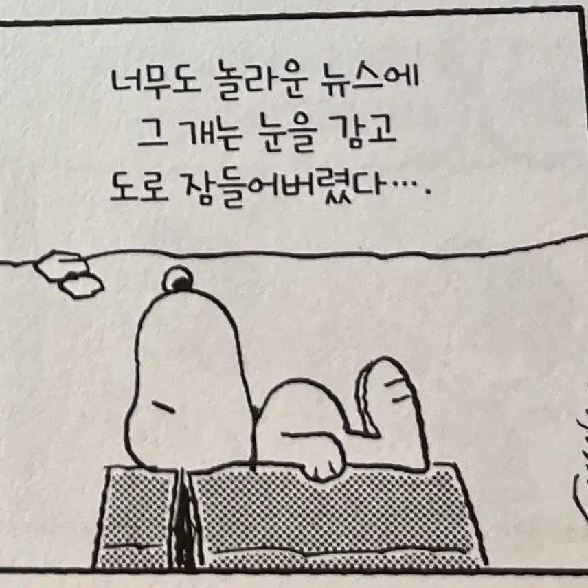 [SOLD OUT] 예약상품