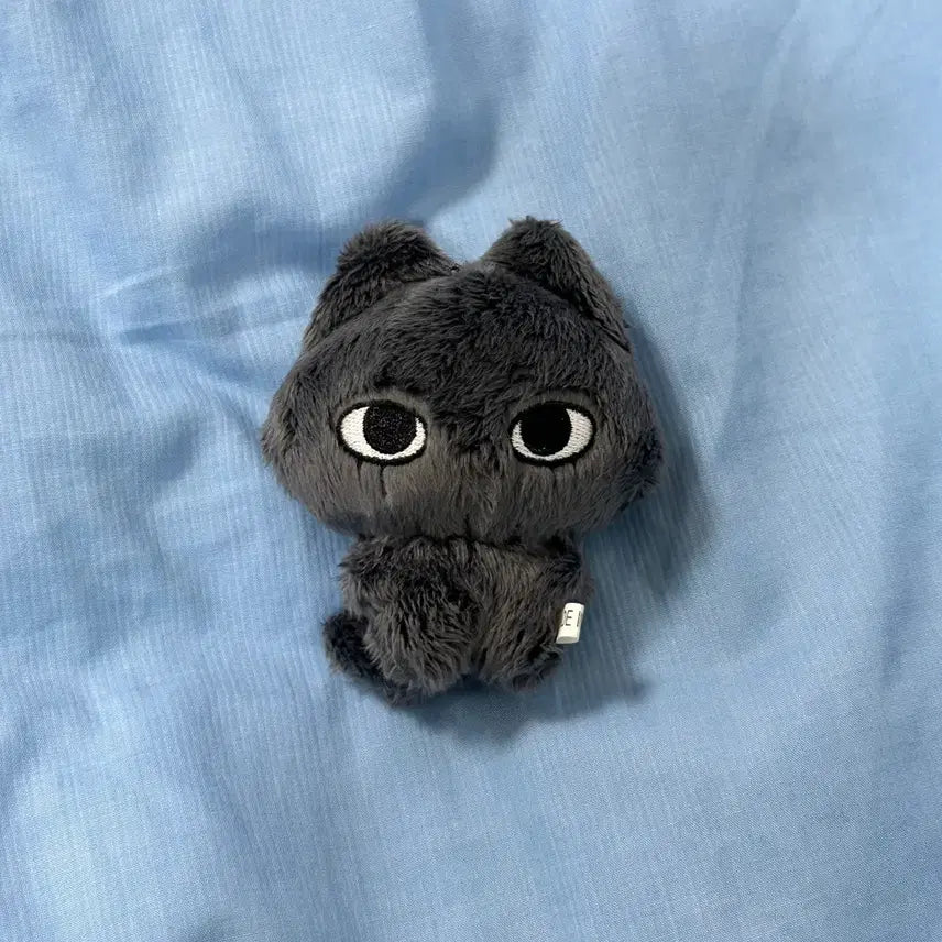 [BUNJANG] NCT WISH Riku Nya-ku Plush / 엔시티위시 리쿠 냥쿠 인형