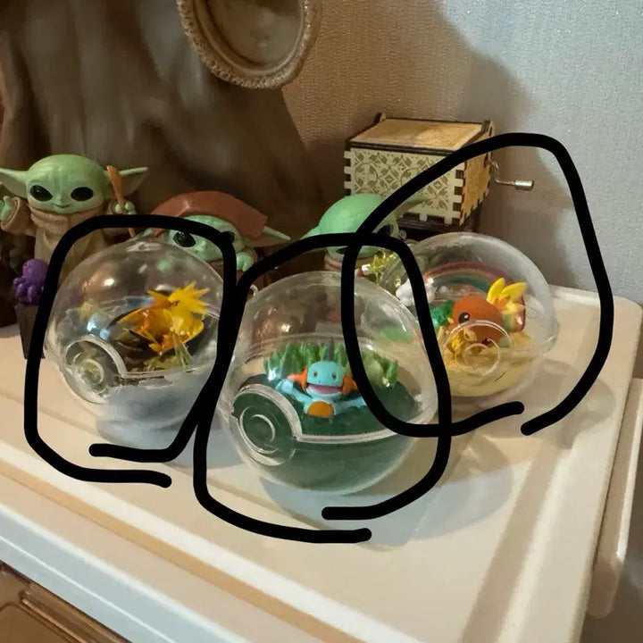 [BUNJANG] Pokemon Terrarium Figure Bundle Set / 포켓몬 테라리움 3개 일괄