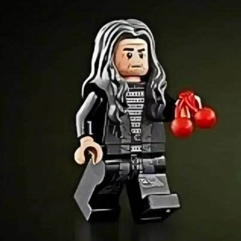 [BUNJANG] LEGO Lord of the Rings Denethor Minifigure (11377) / 레고 반지의제왕 11377 데네소르 미니피규어