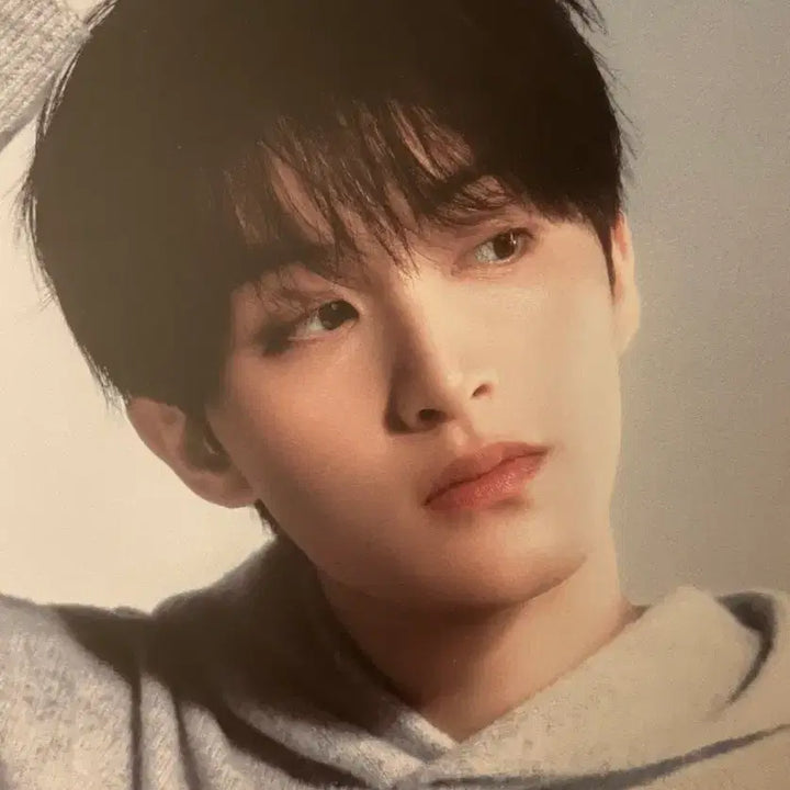 [BUNJANG] NCT DREAM Mark Dream Show 3 Postcard Set / 엔시티드림 마크 드림쇼3 엽서 세트 양도