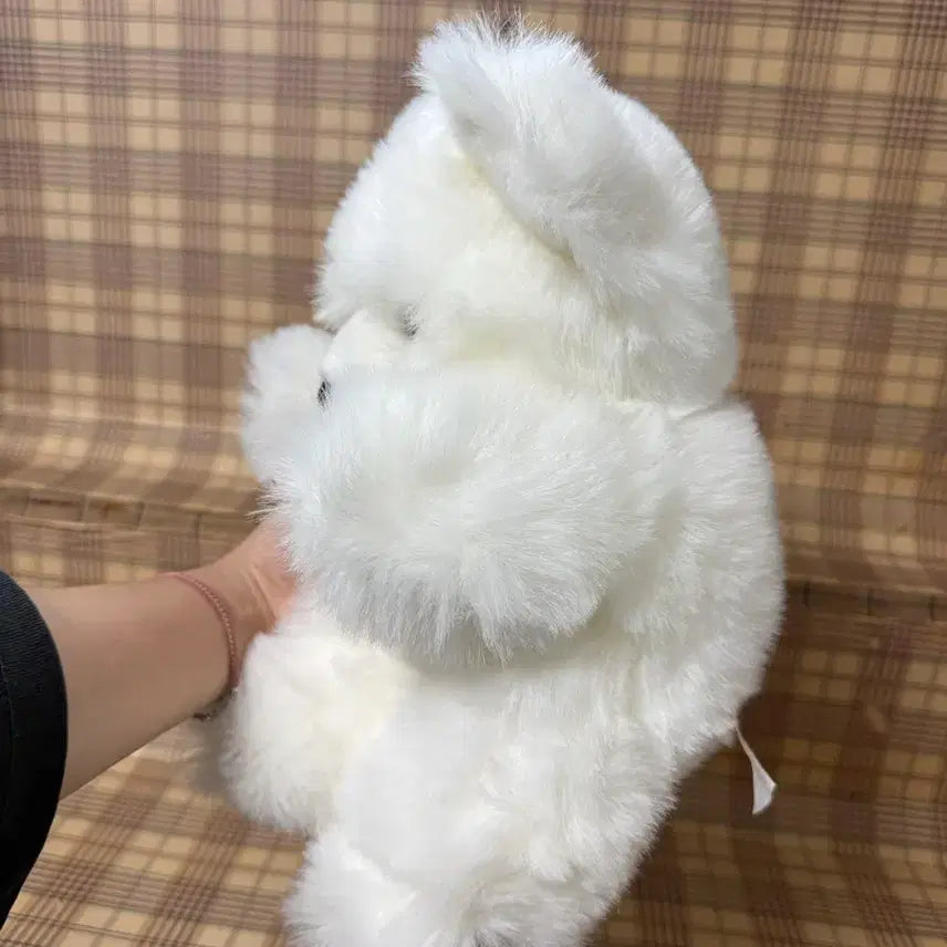 [BUNJANG] Vintage Teddy Bear Plush / 빈티지 곰인형