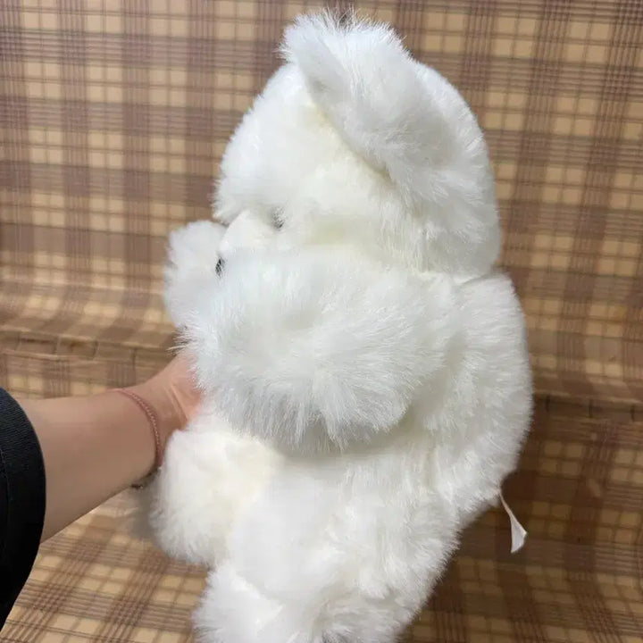 [BUNJANG] Vintage Teddy Bear Plush / 빈티지 곰인형