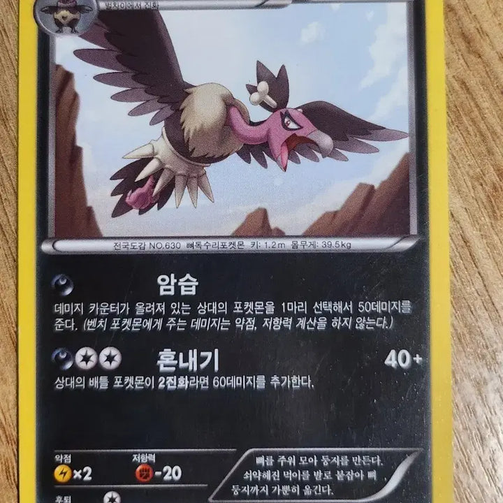[BUNJANG] Pokemon Card - Quilava Evolution / 버랜지나 1진화 포켓몬 카드