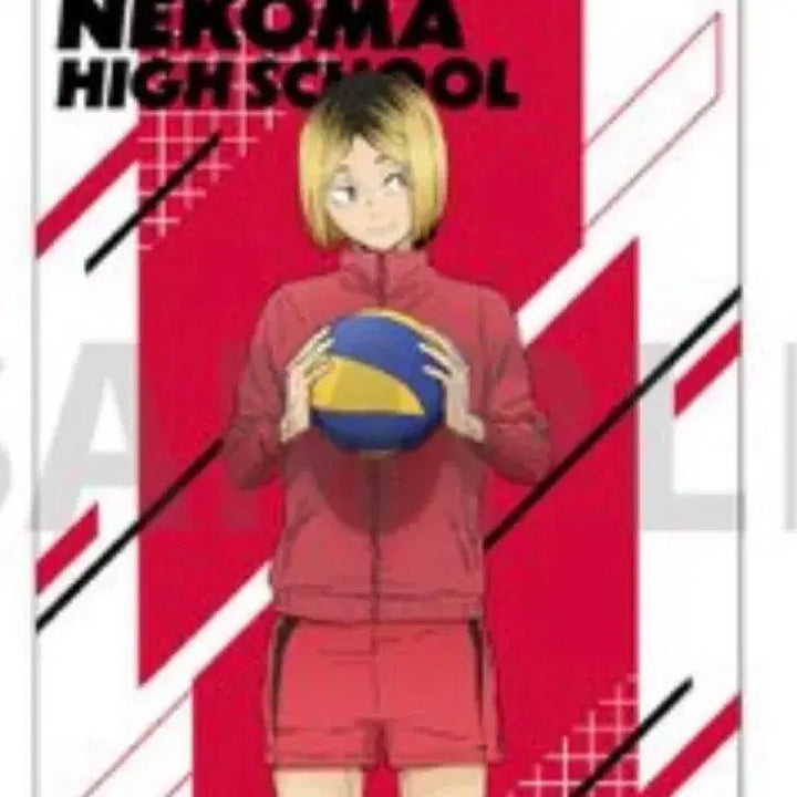 [BUNJANG] Haikyuu!! 10th Anniversary Kozume Kenma Tapestry / 양도) 하이큐 10주년 기념전 코즈메 켄마 태피스트리 태피 양도