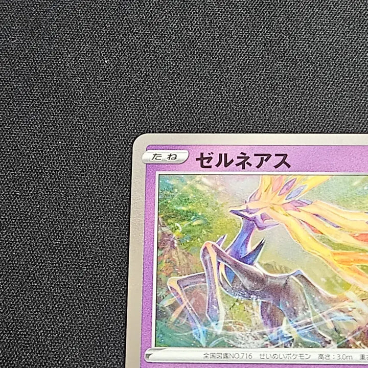 [BUNJANG] Pokemon Card Xerneas Japanese 25th Anniversary Album Version / 포켓몬카드 25주년 제르네아스 일판 앨범용