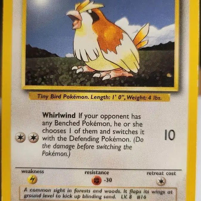 [BUNJANG] Pokemon TCG Base Set Pidgey English Version / 포켓몬 카드 구구  베이스 영문판