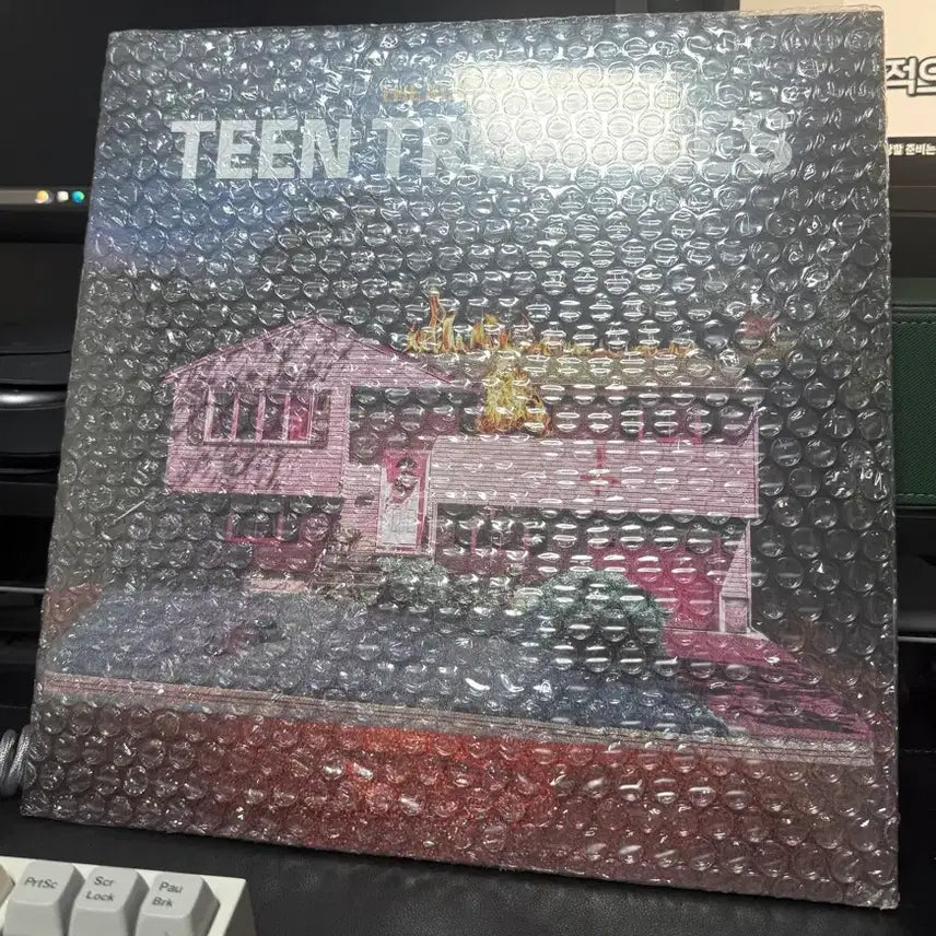 [BUNJANG] The Black Skirts Teen Troubles Sealed LP / 검정치마 틴트러블 떨스띠 미개봉 lp 판매 (Teen Troubles,