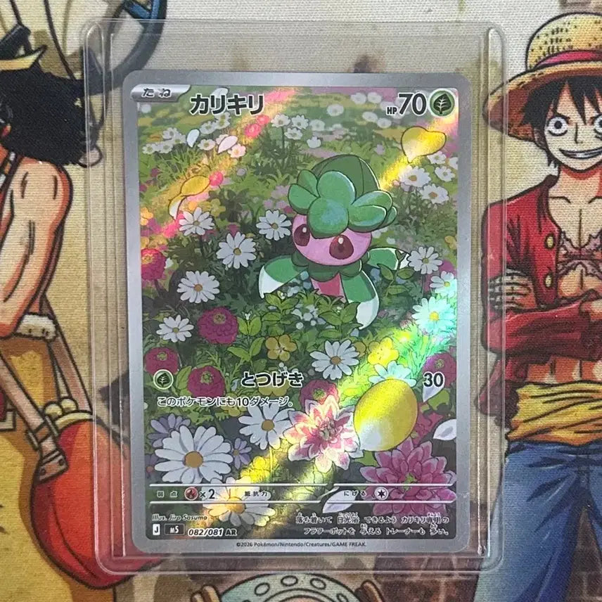 [BUNJANG] Pokemon Card Charjabug AR (Japanese) / 포켓몬카드 짜랑랑 AR (일판)