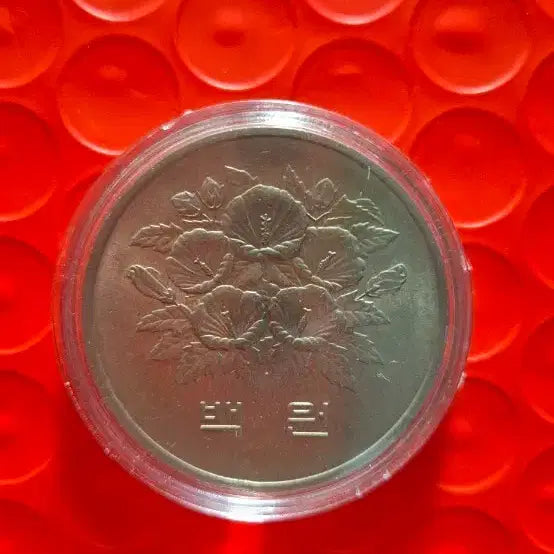 [BUNJANG] 1981 Bank of Korea 100 Won Coin Uncirculated / 1981년 한국은행 100원 미사용