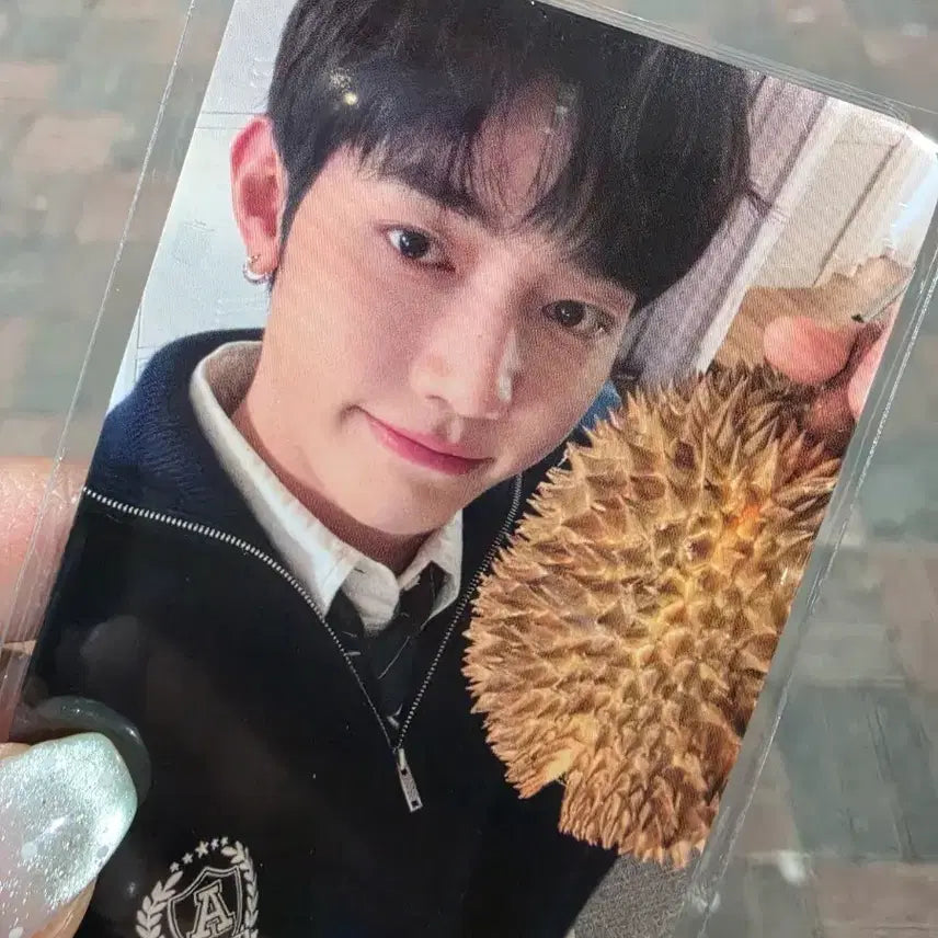 [BUNJANG] NCT DREAM Show Concert Photocard Set / 앤더블 쇼콘 포카 세트 양도