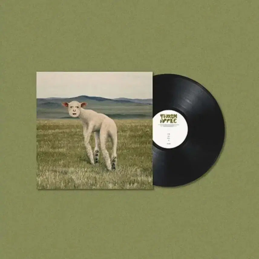 [BUNJANG] Thornapple Animal LP Vinyl Record / 쏜애플  lp 동물