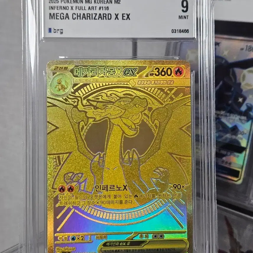 [BUNJANG] Pokemon Card Mega Charizard X BRG Graded 9 Mint / 포켓몬카드 메가리자몽x mur brg9등급