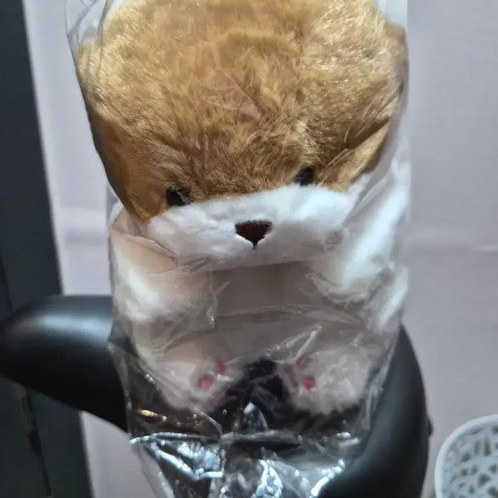 [BUNJANG] Medium Rabbit Hat Plush Doll / 새상품) 중형 토끼모자쓴 인형