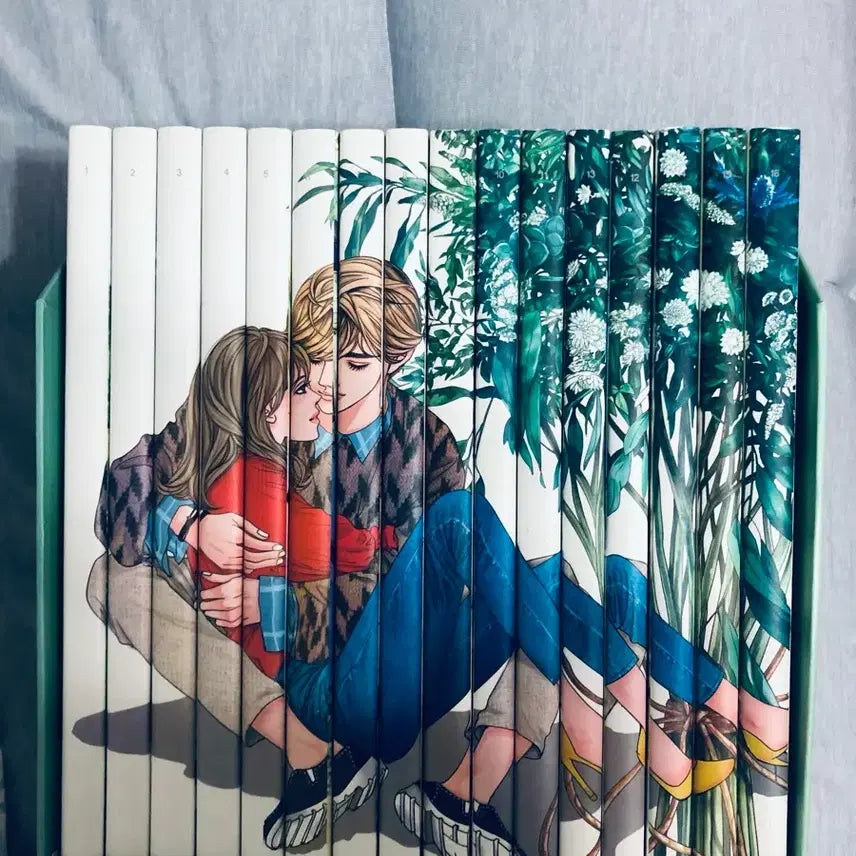 [BUNJANG] Full House Complete Box Set Volumes 1-16 / 풀하우스 박스셋 1-16완결