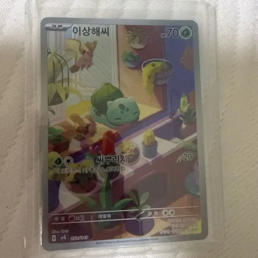 [BUNJANG] Pokemon Card Bulbasaur/Squirtle Special Edition / 포켓몬 카드 이상해씨/꼬부기 특일