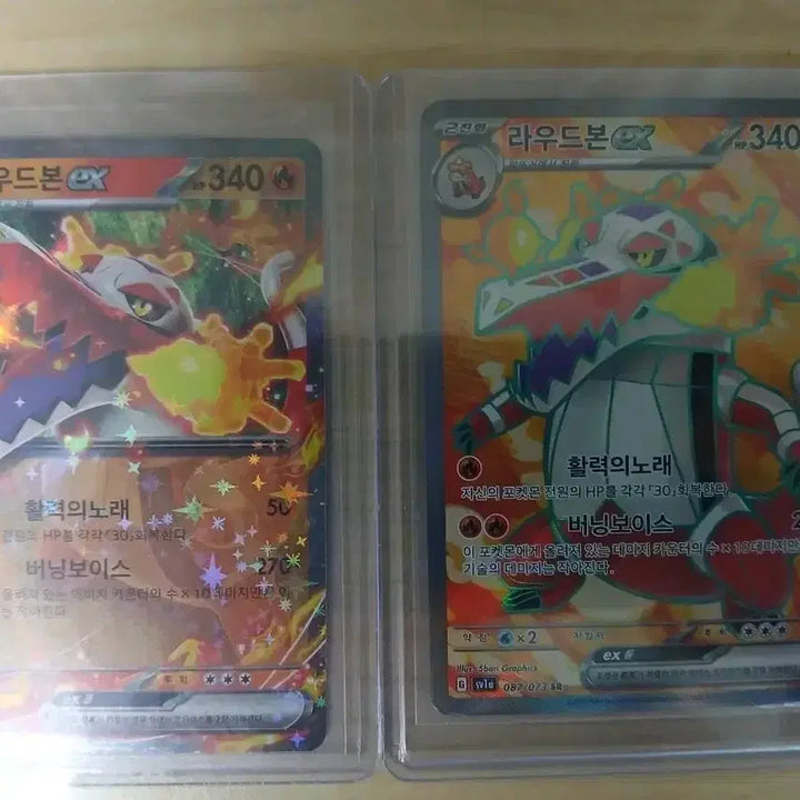 [BUNJANG] Pokemon Card Loudred Set RR SR Cards / 포켓몬카드 라우드본 세트