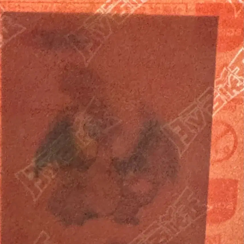 [SOLD OUT] 포켓몬 띠부씰 (미개봉)리자몽+꼬부기 +2