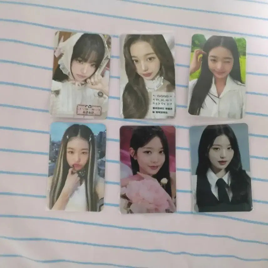 [SOLD OUT] 원영포카