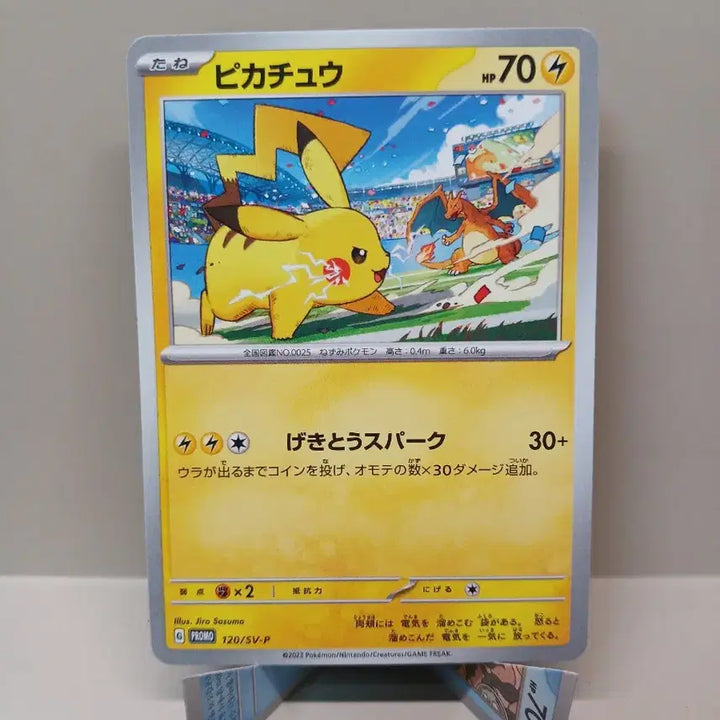 [BUNJANG] Pokemon Card Pikachu Gym Promo / 포켓몬카드 피카츄 짐프로모
