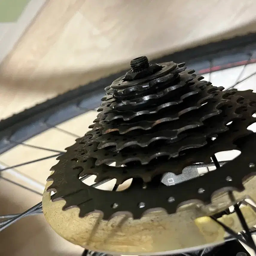 [BUNJANG] Campagnolo Calas 35 Cassette Sprocket / 칼라스35