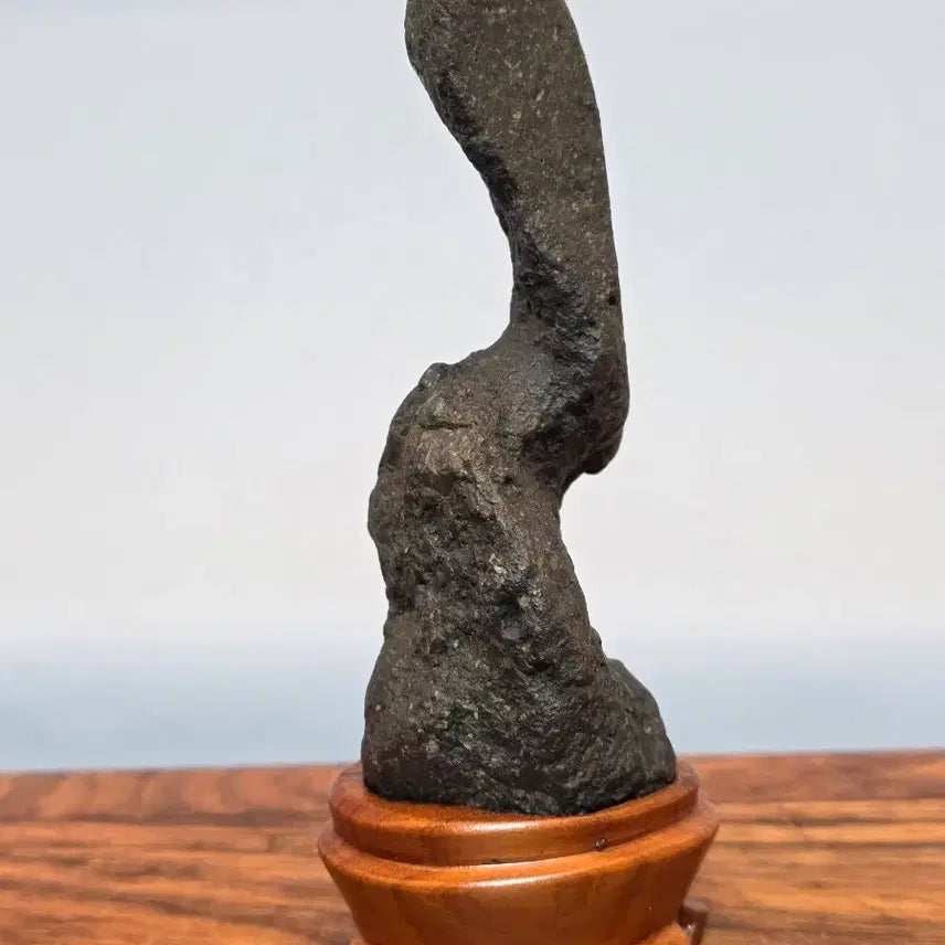 [BUNJANG] Unique Goesan Scholar Stone / 26062009 독특한 괴산 수석 팝니다