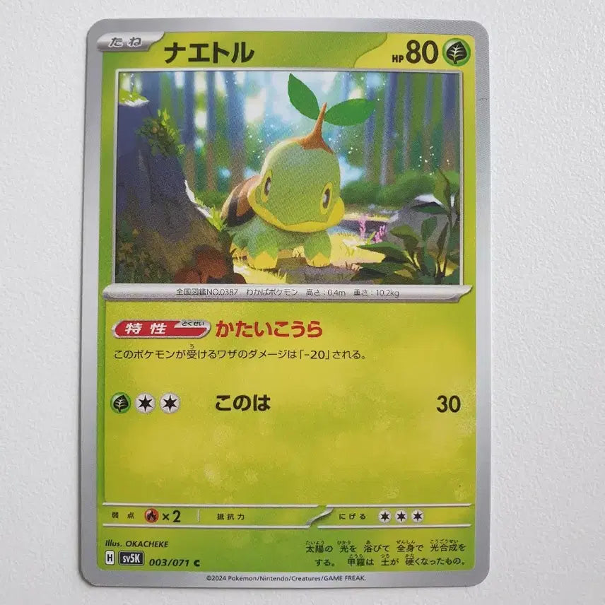 [BUNJANG] Japanese Aegislash Pokémon Card / 일판/모부기 포켓몬카드