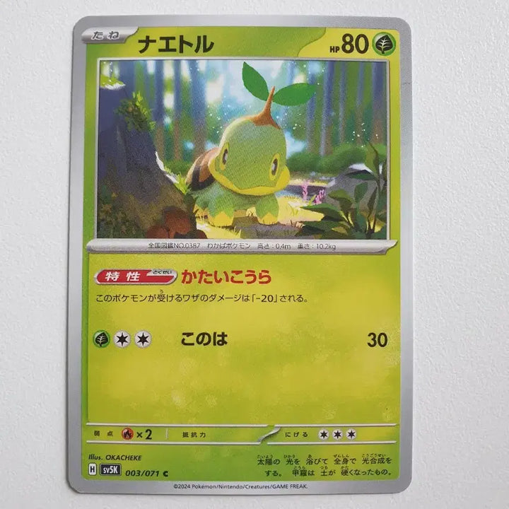[BUNJANG] Japanese Aegislash Pokémon Card / 일판/모부기 포켓몬카드