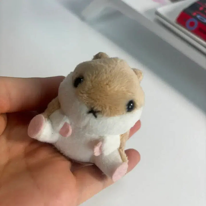 [BUNJANG] Hamster Plush Toy Accessories / 햄스터 인형 소품