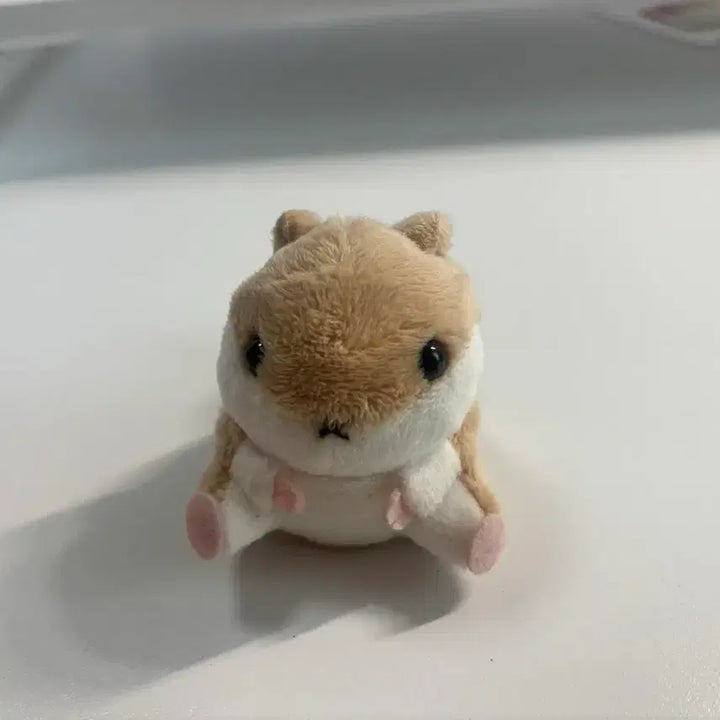 [BUNJANG] Hamster Plush Toy Accessories / 햄스터 인형 소품 뵤