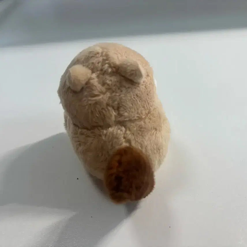 [BUNJANG] Hamster Plush Toy Accessories / 햄스터 인형 소품 뵤