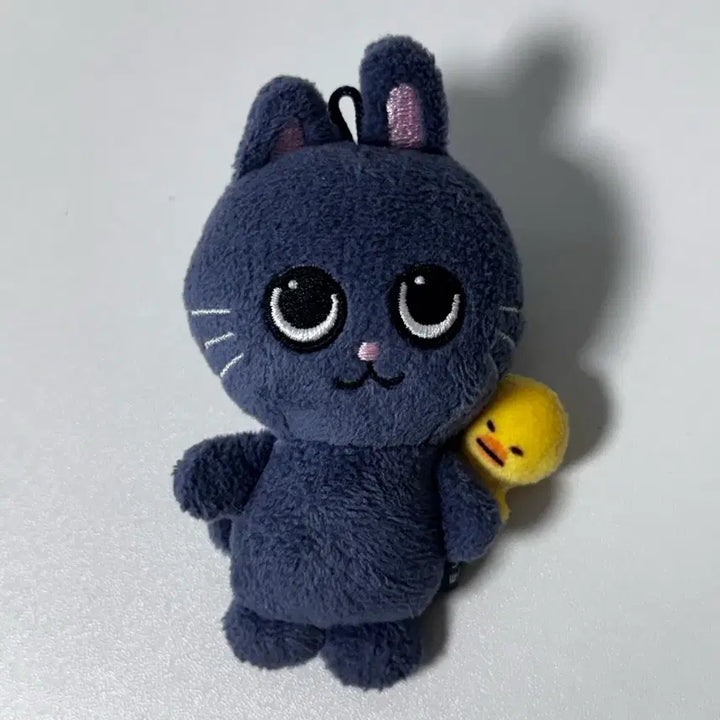 [BUNJANG] RIIZE Wonbin Lyrical Friends Riraz Baby Tonnyangdeok 8cm Plush / 오늘만5.0 라이즈 원빈 리틀라이즈 리라즈 베이비 토냥덕 8cm 양도