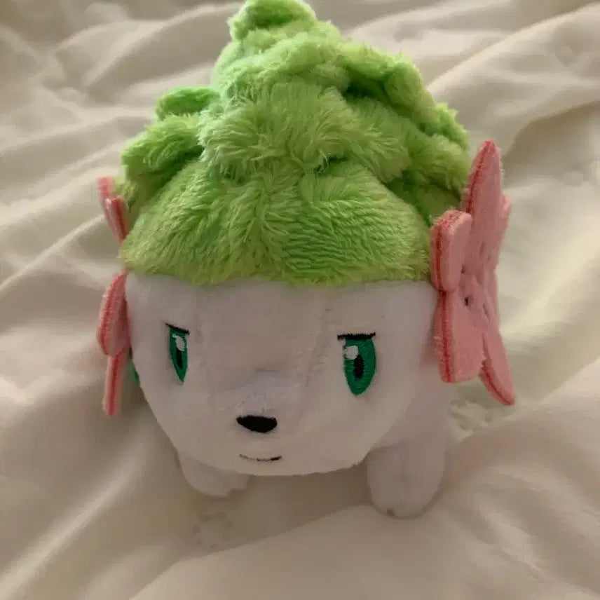 [BUNJANG] Pokemon fit Shaymin Plush / 포켓몬 fit 인형 쉐이미 셰이미 판매합니다