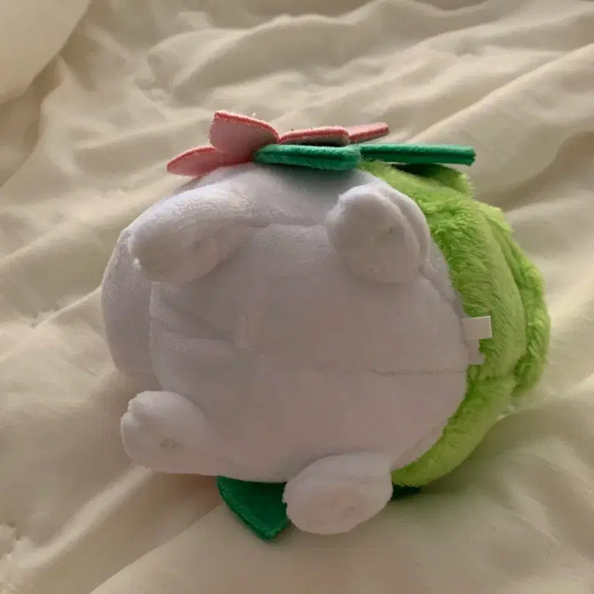 [BUNJANG] Pokemon fit Shaymin Plush / 포켓몬 fit 인형 쉐이미 셰이미 판매합니다