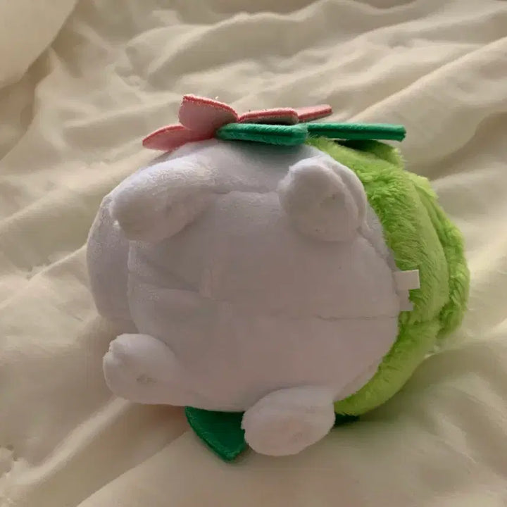 [BUNJANG] Pokemon fit Shaymin Plush / 포켓몬 fit 인형 쉐이미 셰이미 판매합니다