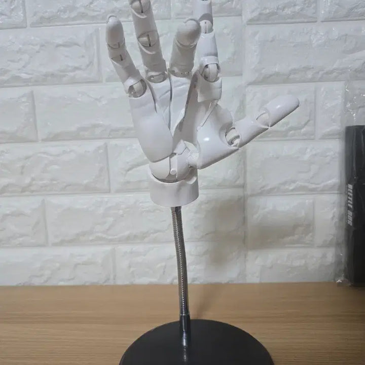 [BUNJANG] Articulated Hand Mannequin Stand / 관절 손 모형 스탠드