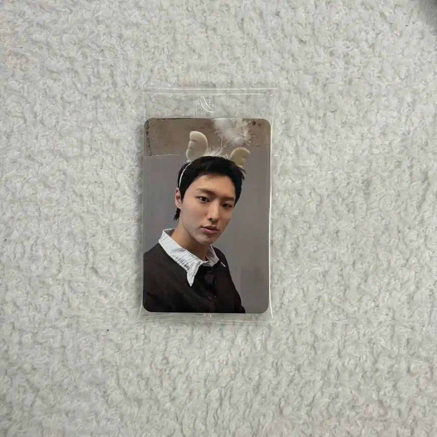 [BUNJANG] WOODZ Archive 1 Fan Sign POB Photocard (Harulala) / WOODZ(우즈) 아카이브원 포카 팬싸특전(하룰라라)