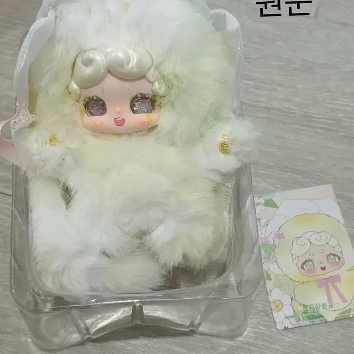 [BUNJANG] BamtO v6 Full Box / 밤토v6 풀박스 판매합니다