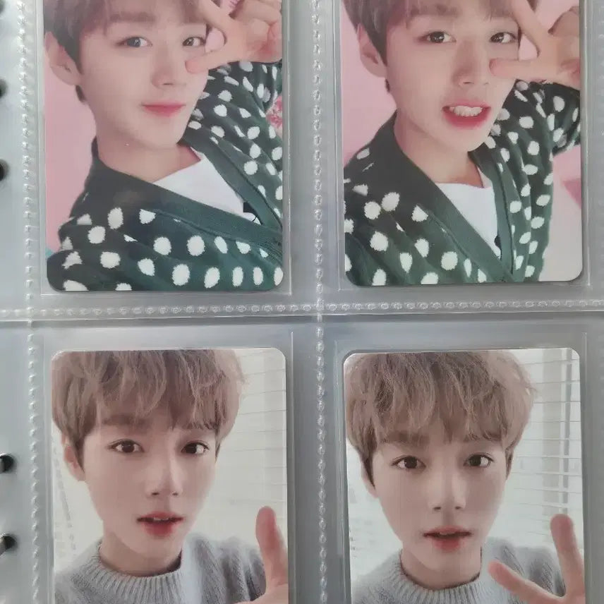 [BUNJANG] Park Ji Hoon 1st Fanclub Bundle Photocards / 박지훈 1기 팬클럽 포카 일괄 판매