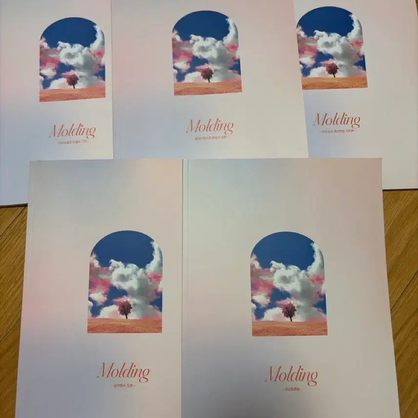 [BUNJANG] Choi Ji-wook Molding Volume 4 Textbook / 최지욱 몰딩 n제 4권