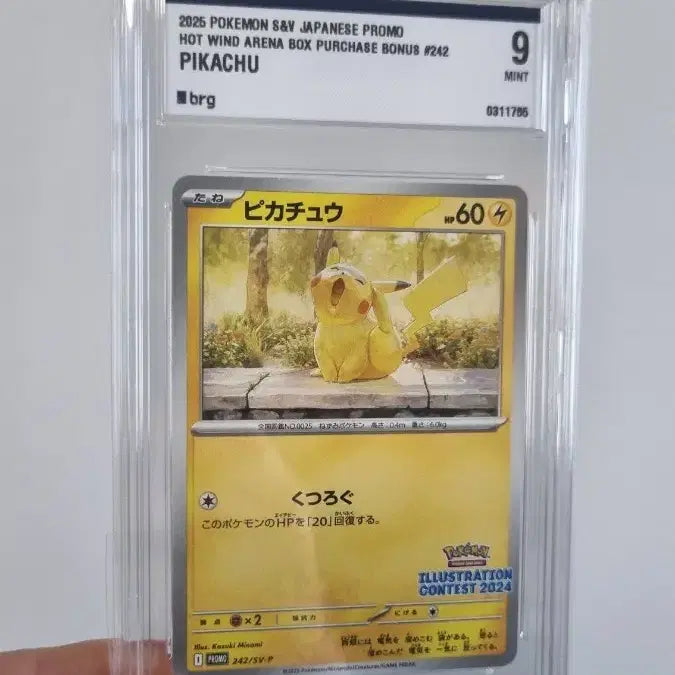 [BUNJANG] Pokemon Card Japanese Jumpluff brg9 / 포켓몬카드 일판 하품츄 brg9 팝니다