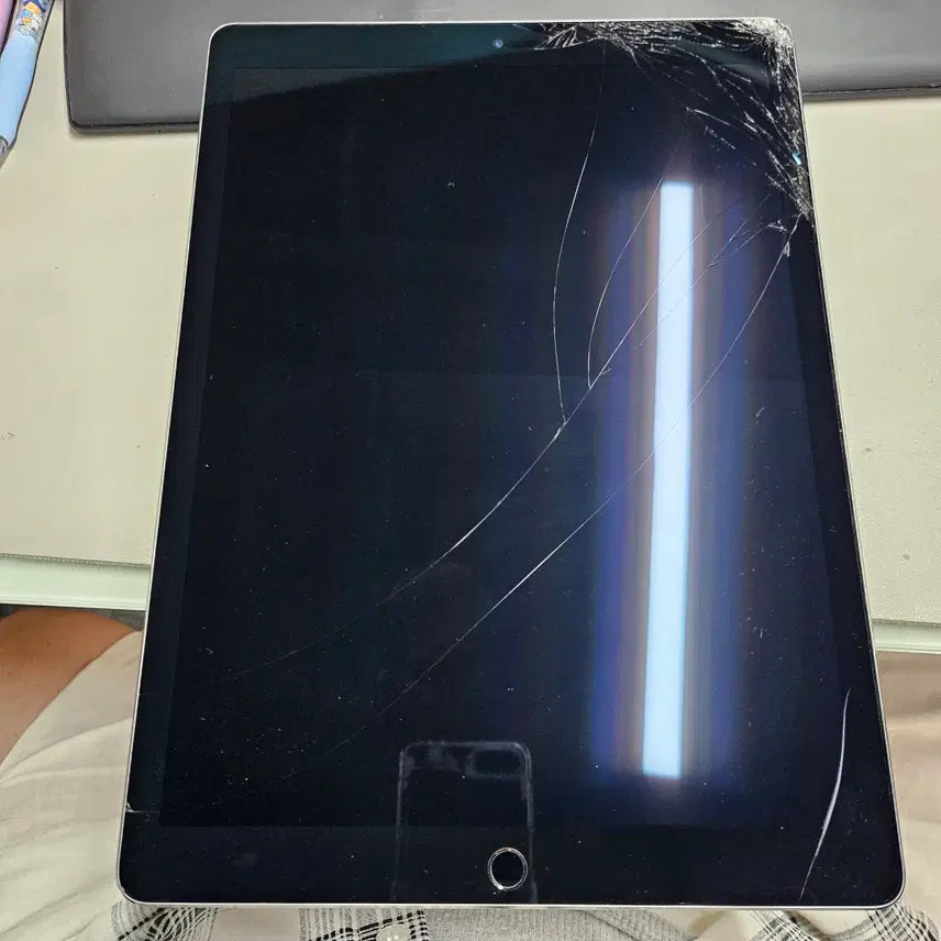 [BUNJANG] Apple iPad Pro 12.9-inch (2nd Gen) 256GB Wi-Fi Space Gray / 아이패드 프로 12.9 2세대 256GB WIFI 스그 [162097]