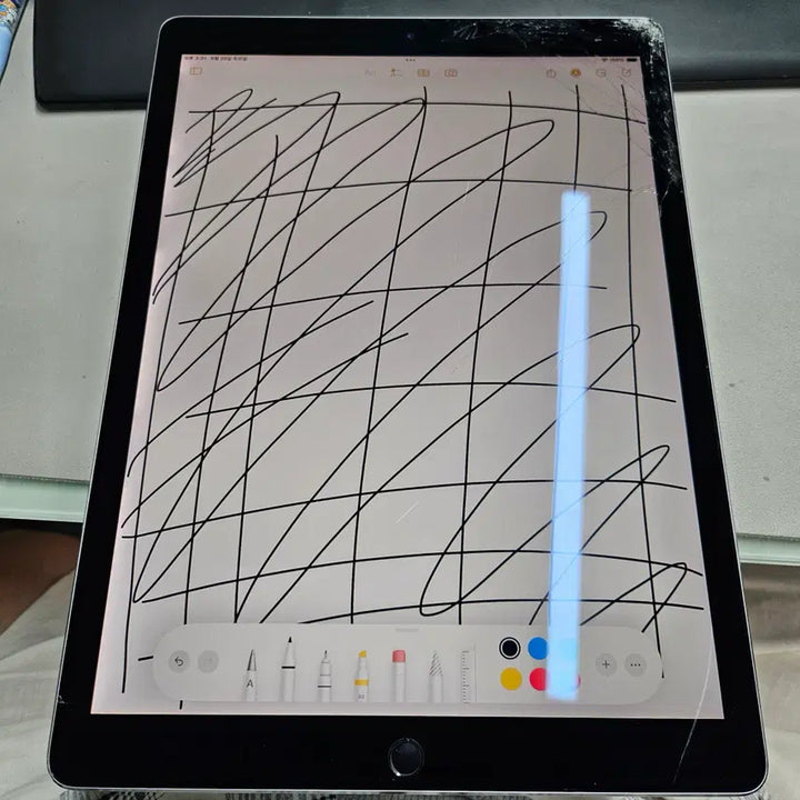 [BUNJANG] Apple iPad Pro 12.9-inch (2nd Gen) 256GB Wi-Fi Space Gray / 아이패드 프로 12.9 2세대 256GB WIFI 스그 [162097]