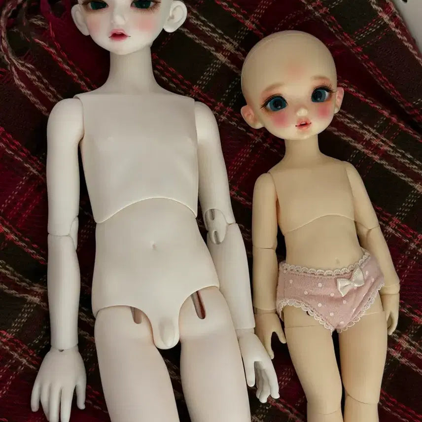 [BUNJANG] ChikaBi Bora Normal Type Full Set Doll + Luts Kid Delf / 구체관절인형 치카비 보라 노멀타입 구체관절인형 풀 세트+루츠 키드 델프