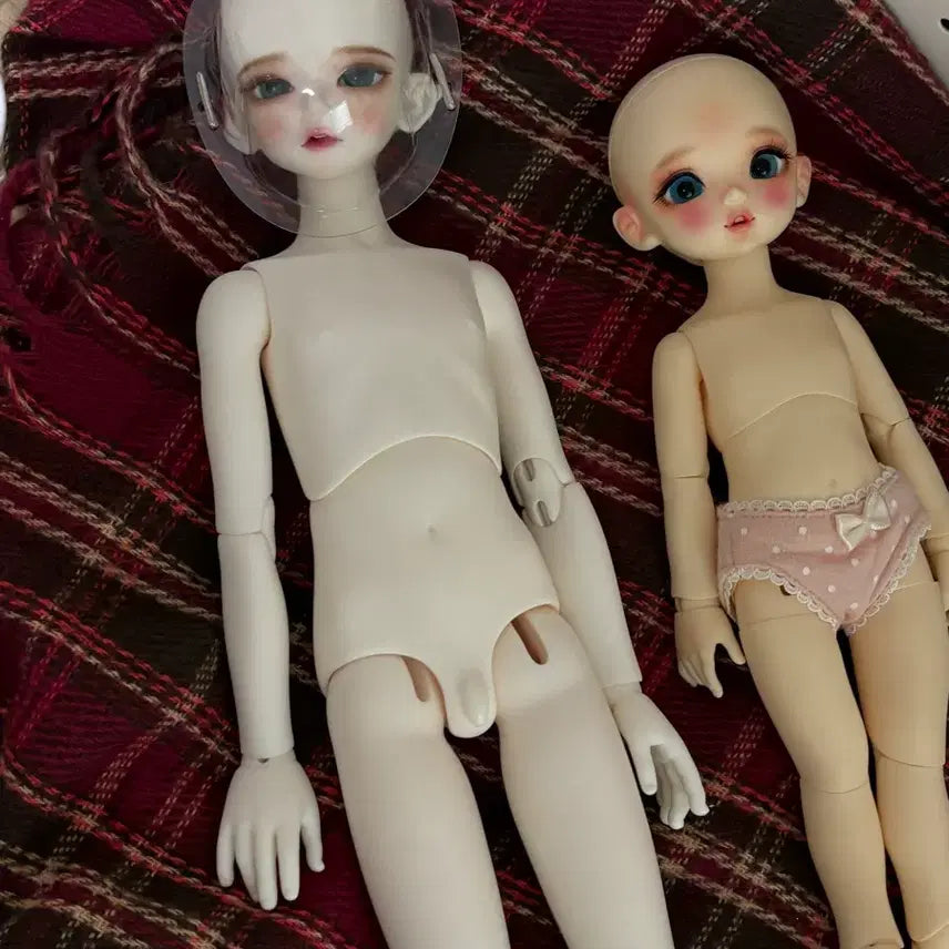 [BUNJANG] ChikaBi Bora Normal Type Full Set Doll + Luts Kid Delf / 구체관절인형 치카비 보라 노멀타입 구체관절인형 풀 세트+루츠 키드 델프