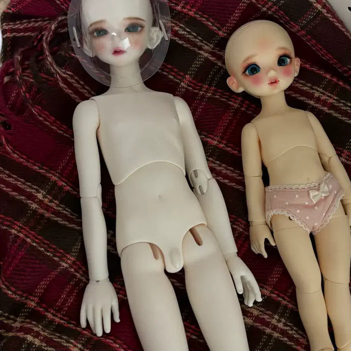 [BUNJANG] ChikaBi Bora Normal Type Full Set Doll + Luts Kid Delf / 구체관절인형 치카비 보라 노멀타입 구체관절인형 풀 세트+루츠 키드 델프