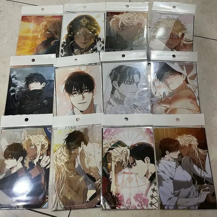 [BUNJANG] Baekya-ui Kkotgil Print Set (12 Types) Bundle Set / 백야의꽃길 인화사진 12종 풀세트 일괄 양도 레봄
