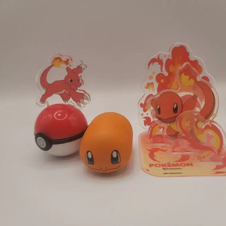 [BUNJANG] Pokemon Charizard Set / 포켓몬스터 리자몽 세트