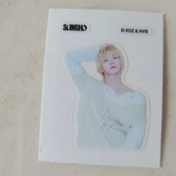 [BUNJANG] BOYNEXTDOOR Sungho Sticker / 보이넥스트도어 띠부실 성호