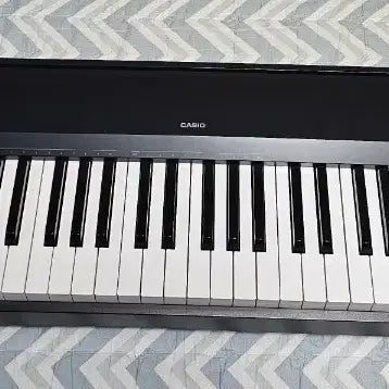 [BUNJANG] Casio CDP-120 Digital Piano (88 Keys) / 카시오 CDP-120 디지탈 피아노 (88건반)